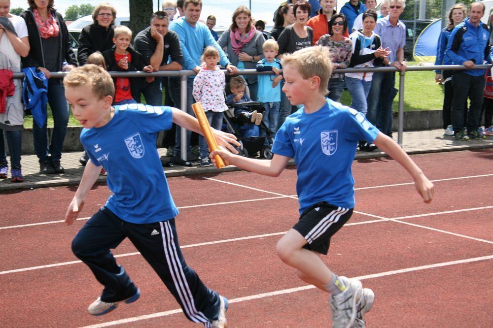 Lichtensteinlauf 2014