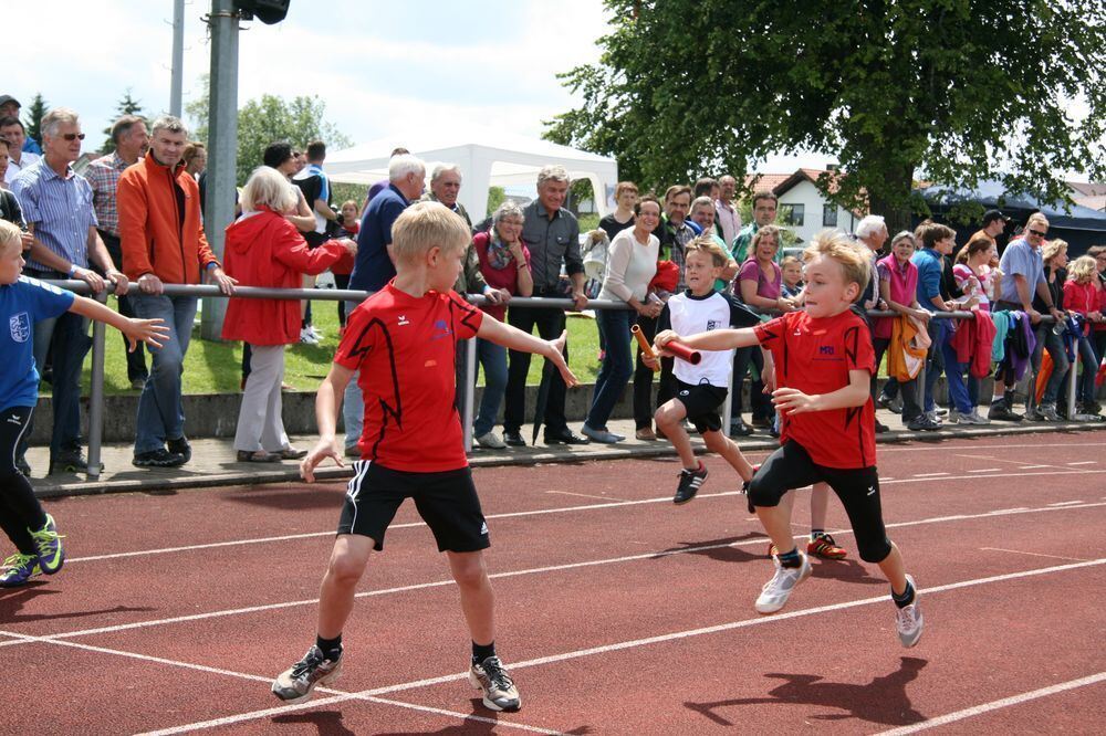 Lichtensteinlauf 2014