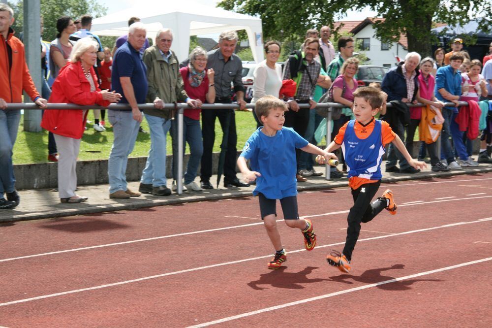 Lichtensteinlauf 2014