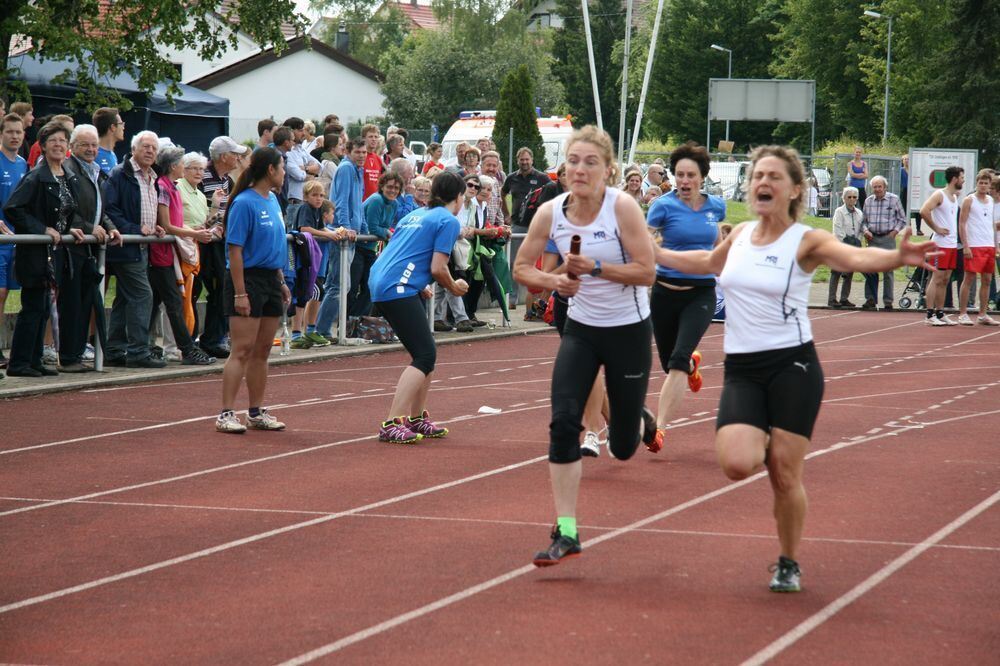 Lichtensteinlauf 2014