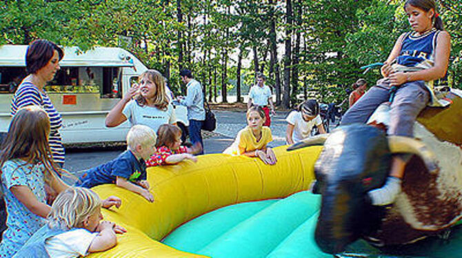 Rodeo auf dem Kunststoff-Vieh: Hauptspaß beim Uffdada-Festival.  FOTO: ANSTÄDT