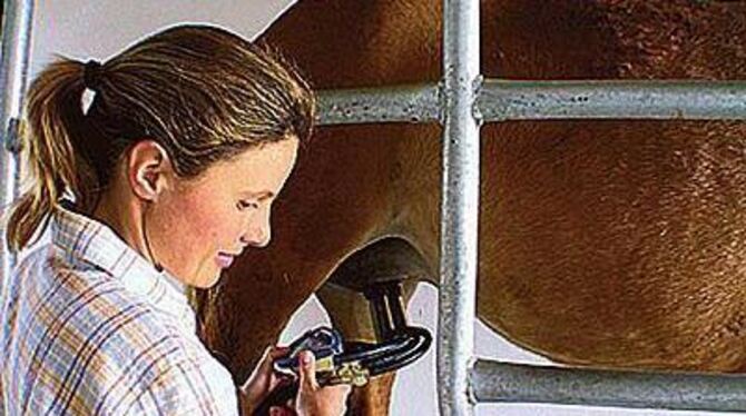 Schaufenster der Region Neckar-Alb beim Landwirtschaftlichen Hauptfest Baden-Württemberg: Stutenmilch (im Bild), Fleckvieh und d