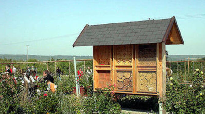 Das Bienenhaus und noch viel mehr: Der Lehrgarten auf der ehemaligen Mülldeponie ist eröffnet worden. FOTO: PFI