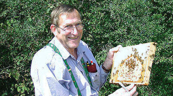 Alle Entwicklungsstadien der Bienen zeigt Hans Fischer auf dieser Wabe. FOTO: CON