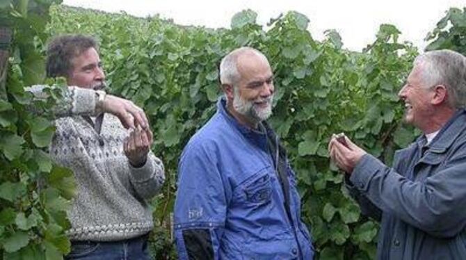 Auf einen hervorragenden Weinjahrgang freuen sich Reinhold Gaiser, Friedemann Salzer und Dieter Hauswirth. GEA-FOTO: JSG