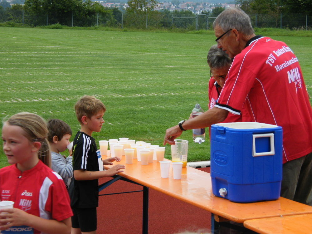 Hornissenlauf Kusterdingen 2014