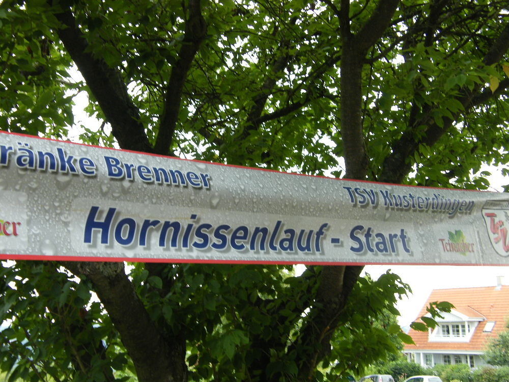 Hornissenlauf Kusterdingen 2014