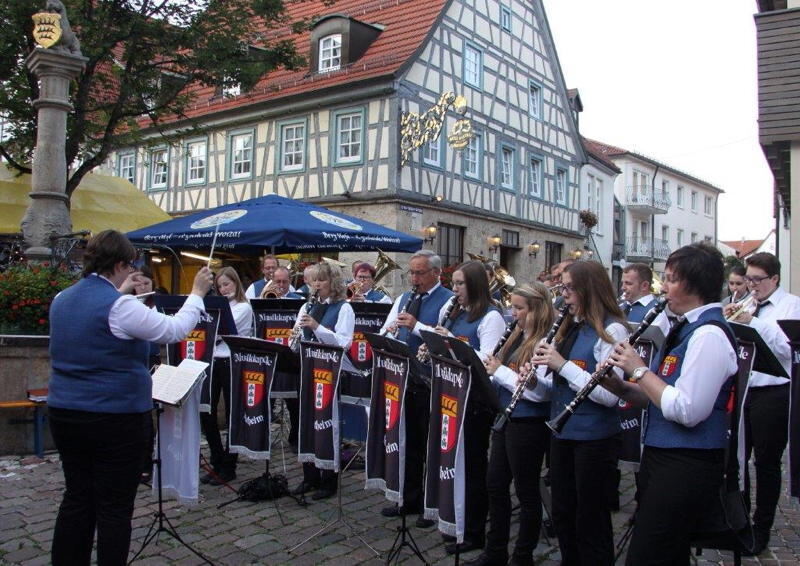 Stadtfest Münsingen 2014