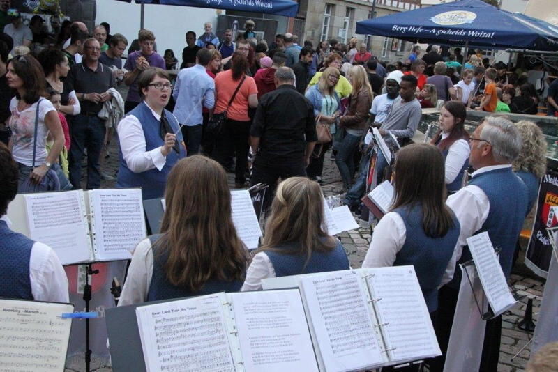 Stadtfest Münsingen 2014