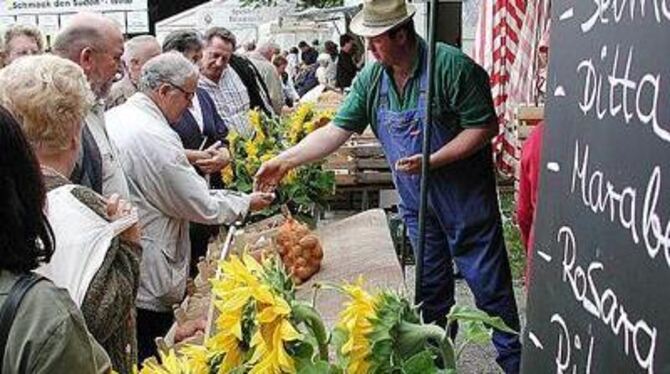 Ditta, Rosara und Co. stehen im Mittelpunkt des Kartoffelfests, zu dem am 3. September im Gestütshof St. Johann über fünfzig Mar