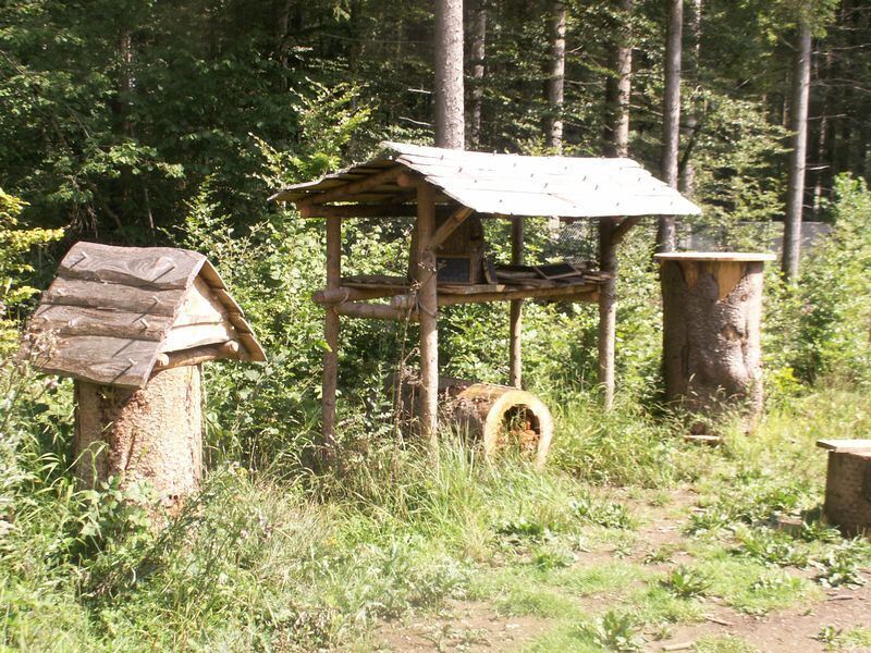 Klosteranlage Campus Galli nimmt Konturen an