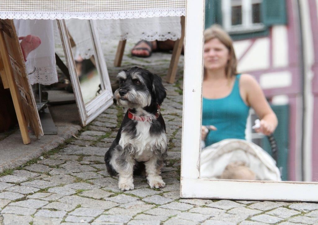 Antiquitäten- und Sammlermarkt Bad Urach 2014