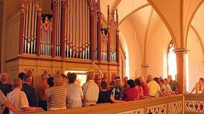 Die Gönninger Orgel wurde am Wochenende der Öffentlichkeit präsentiert. GEA-FOTO: DÖRR