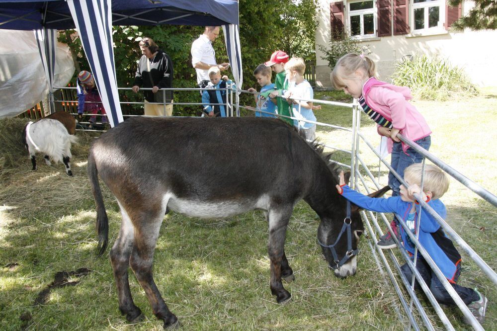 Dorfhockete Holzelfingen 2014