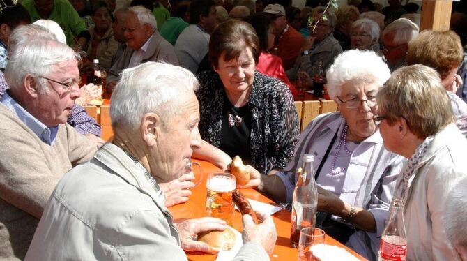 Schwätzen, Oldtimer anschauen oder den Streichelzoo besuchen. Für alle war bei der Holzelfinger Dorfhockete etwas geboten. FOTO: