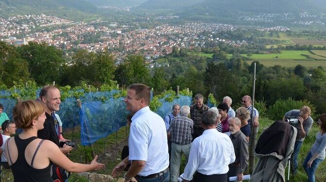 Treffpunkt Pfullinger Weinberg.  GEA-FOTO: SCHÖBEL