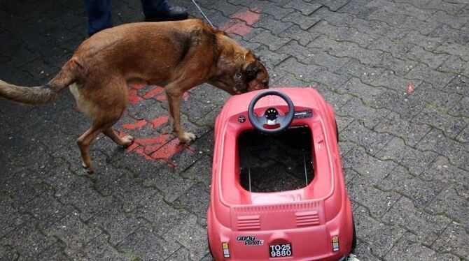 Ein Spürhund am Fundort der Leiche. Foto: Fredrik von Erichsen