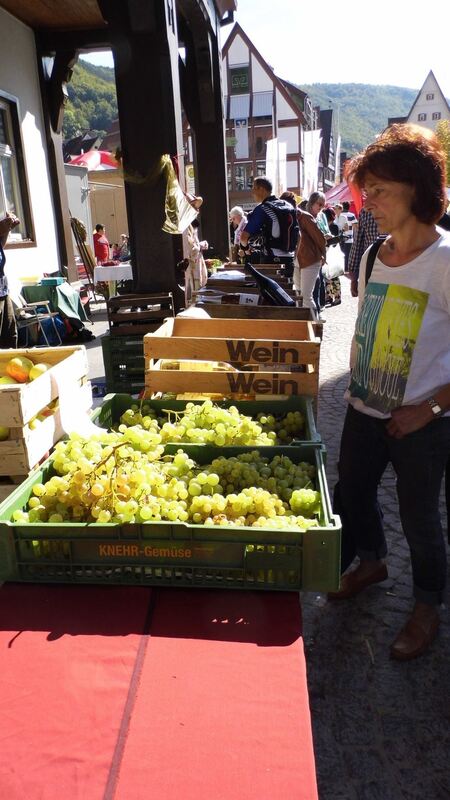 Musiktagemarkt und Energietag in Bad Urach