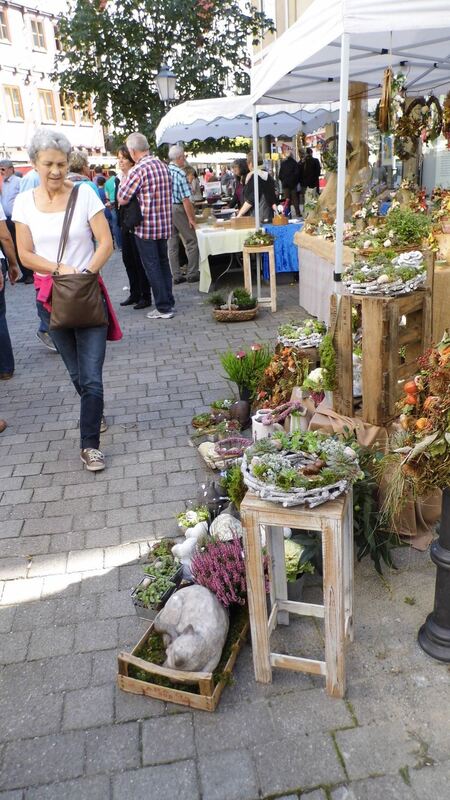 Musiktagemarkt und Energietag in Bad Urach