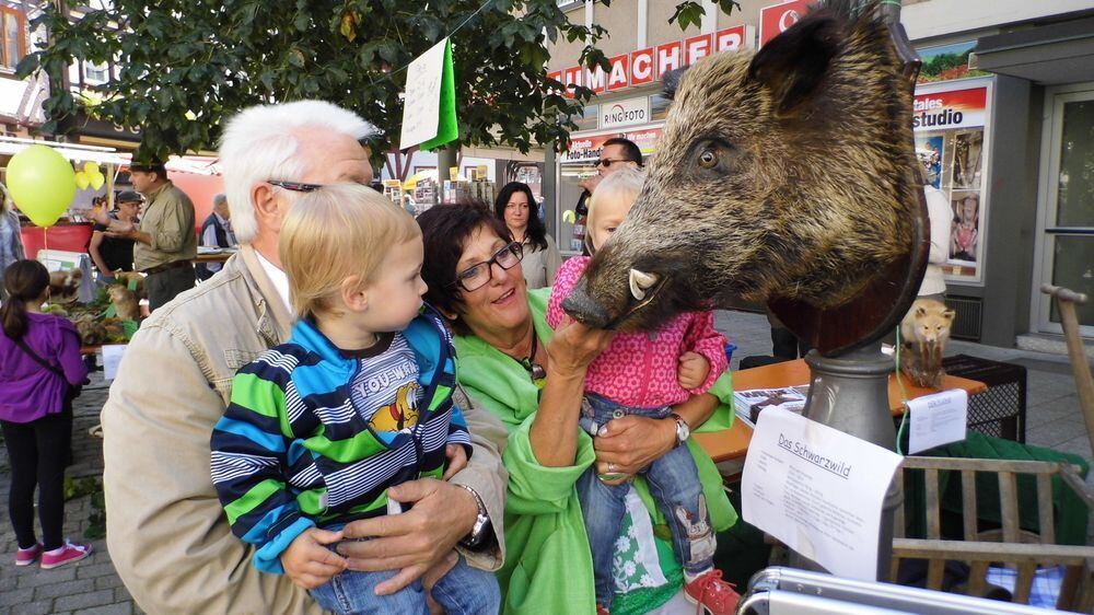 Musiktagemarkt und Energietag in Bad Urach