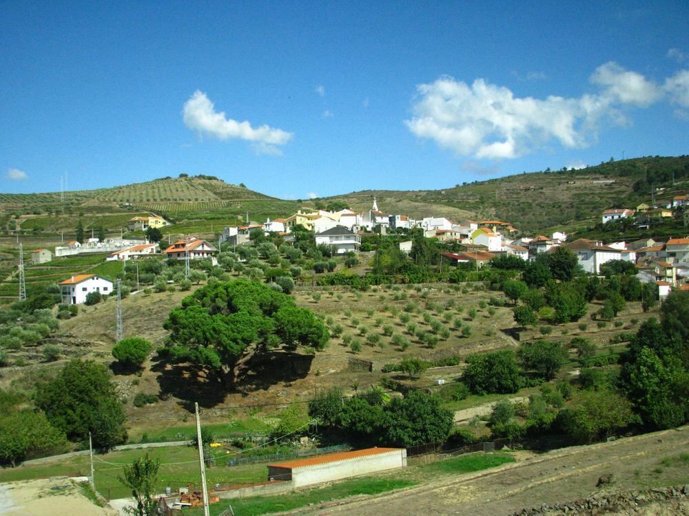 GEA Leserreise Portugal 2014