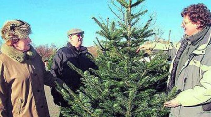 Christbaumverkäuferin Hella Fischer (rechts) mit treuer Kundschaft: Seit Jahren erwerben Winfried und Renate Zöbisch ihre Tannen bei der Holzelfingerin.
FOTO: TRINKHAUS