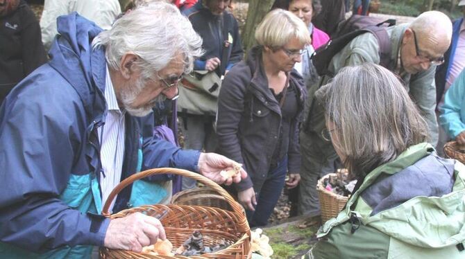 Reiche Beute: Am Ende inspizierten die Nabu-Experten noch einmal die gesammelte Pilz-Pracht. Die Führung erwies sich einmal mehr