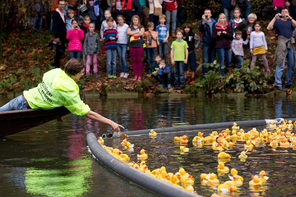 Entenrennen Tübingen 2014