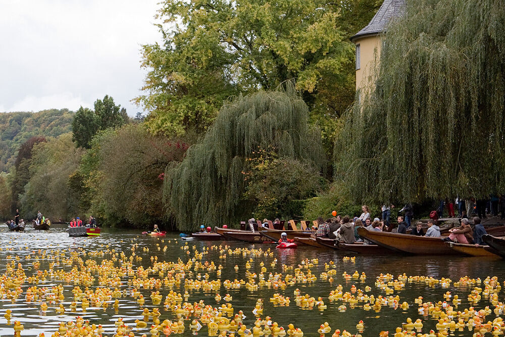 Entenrennen Tübingen 2014