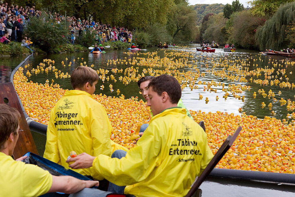 Entenrennen Tübingen 2014