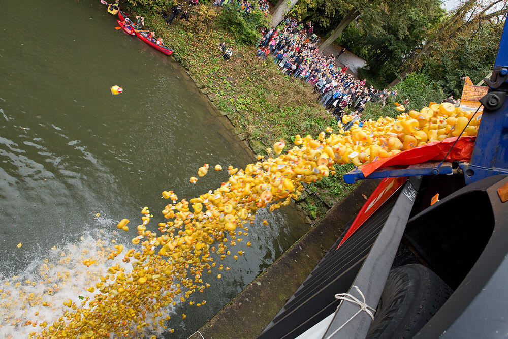 Entenrennen Tübingen 2014