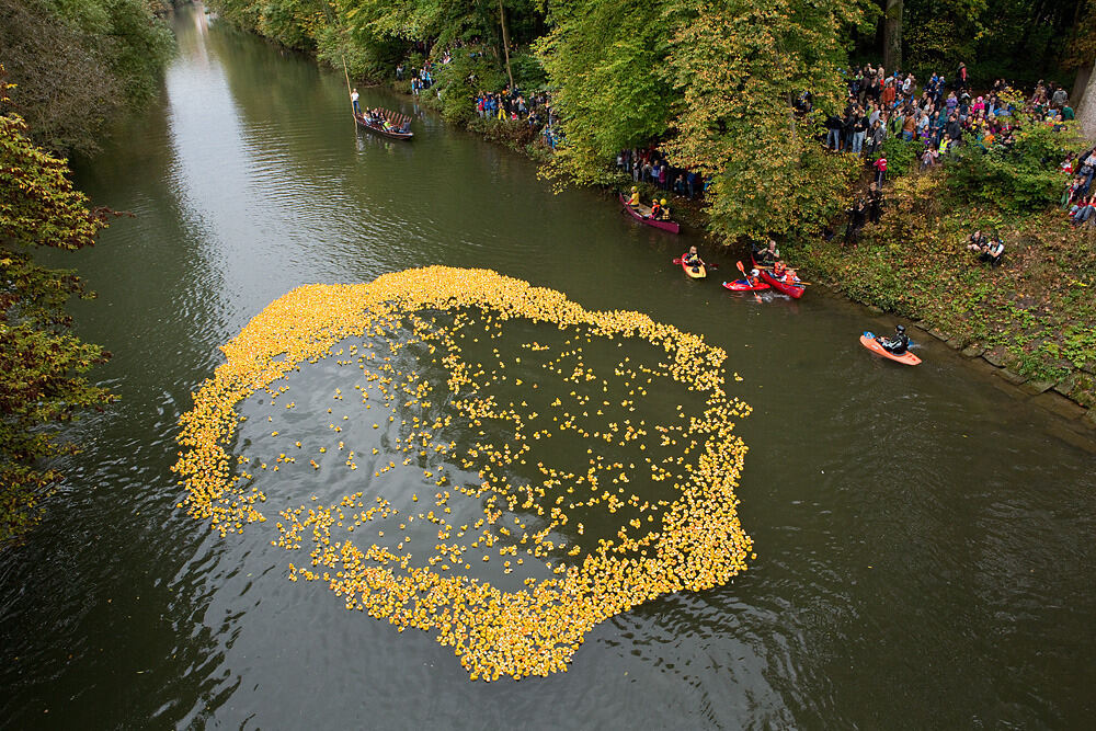 Entenrennen Tübingen 2014