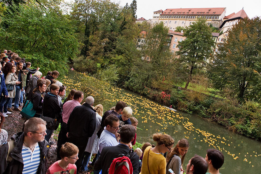 Entenrennen Tübingen 2014