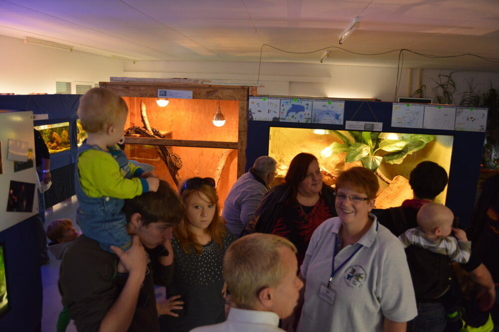 Aquarien- und Terrarien-Ausstellung Mössingen