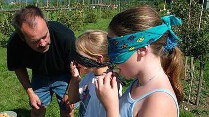 Obstsorten lassen sich auch mit verbundenen Augen erschmecken. FOTO: ALM