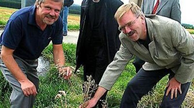 Sie sorgen sich um das Unkraut &raquo;Dicke Trespe&laquo;: (von rechts) Regierungspräsident Hubert Wicker, Dietrich Kirschenmann