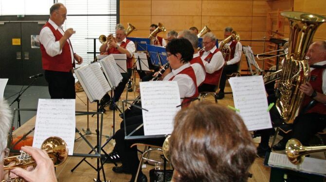 Konzentriert und trotzdem mit »granadamäßig Spaß« bei der Sache: Musiker aus Zainingen.  FOTO: LEIPPERT