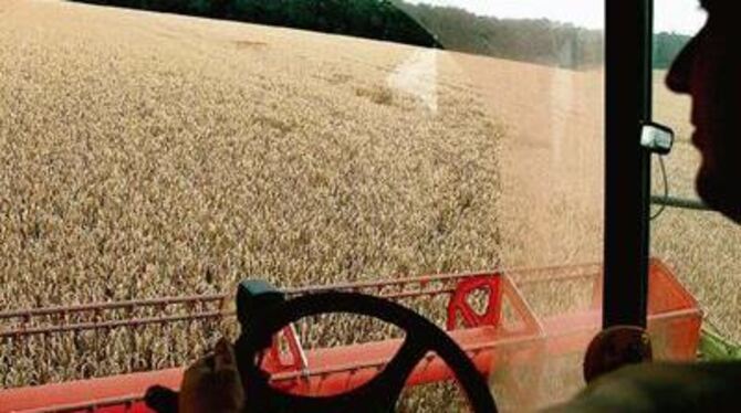 Auf dem Einsiedel bei Kirchentellinsfurt ist die Ernte schon eingefahren, auf der Alb warten die Bauern auf besseres Wetter. GEA