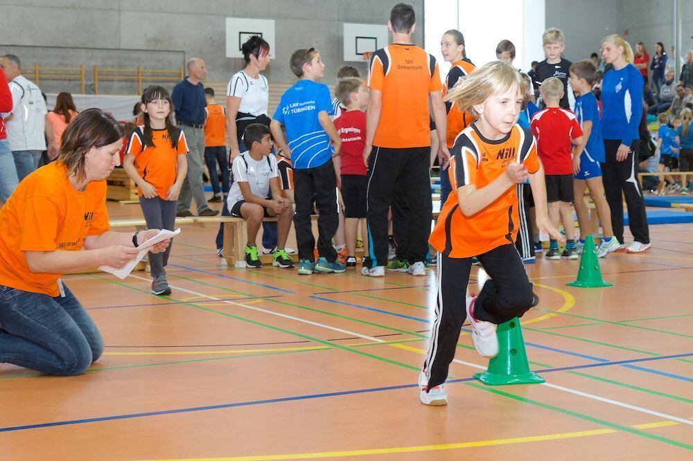 Gomaringen FairEnergie Leichtathletik-Cup 2014