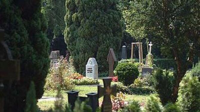 Viele historische Grabmale auf dem Friedhof Unter den Linden sind vom Verfall bedroht.  FOTO: TRINKHAUS