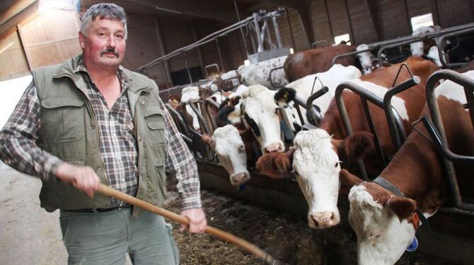 Peter  Sautter,  der  Vorstandsvorsitzende  der Milcherzeugergenossenschaft Reutlingen, in seinem Milchviehbetrieb in Eningen. Z