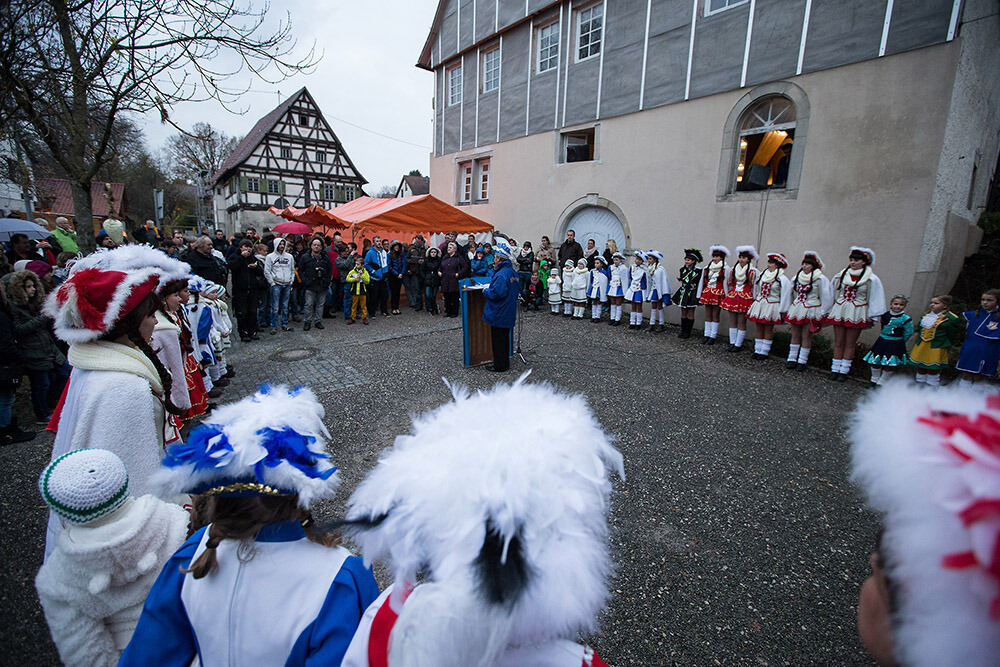 Kraga-Abstauba Krautskräga 2014