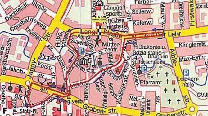 So eben wie sie auf dem Plan aussieht, ist die 2,5 Kilometer lange Stadtlauf-Strecke nicht. In Fritzenrain, Sulzgasse und Fallto