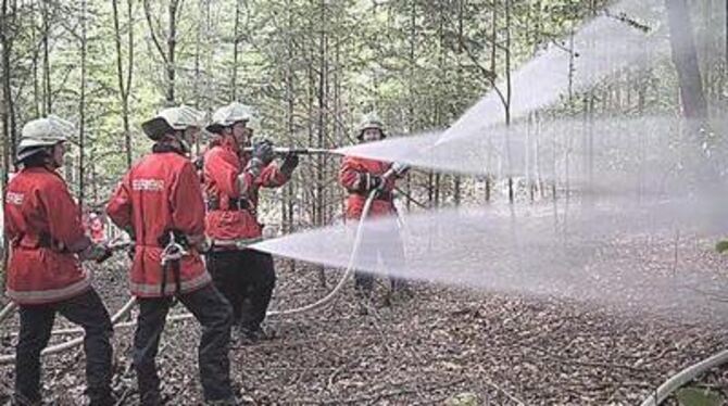 Sie gießen nicht den Wald, sie proben den Ernstfall: die Gomaringer und Stockacher Feuerwehr bei der Waldbrandübung. FOTO: NEU