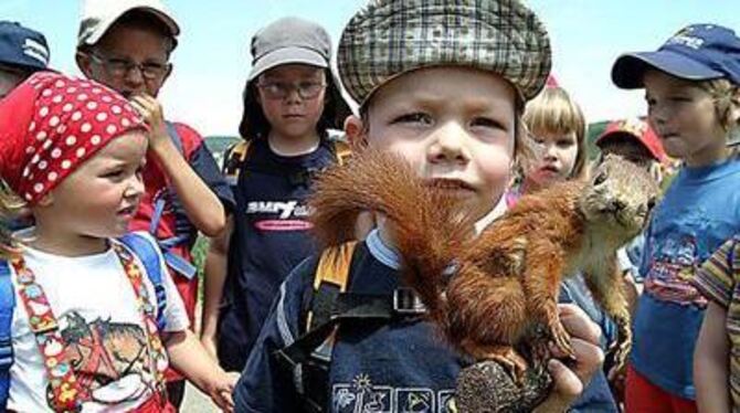 Keine Angst die laufen nicht weg: Trochtelfinger Kinder bei ihrer spannenden Schatzsuche im Wald.  FOTO: BAIER