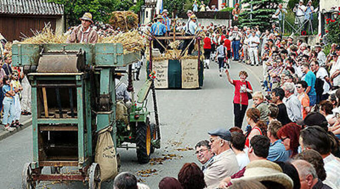 Viele Bewunderer beim Festzug, ein tolles Wetter und beeindruckendes Programm: das alles gab es in Dapfen. GEA-FOTO: JÜRGEN MEYE