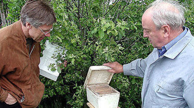 Angst vor Bienen? Das haben weder Imker Erwin Geiselhart (rechts) noch Dr. Gottfried Göggel vom Amt für Landwirtschaft. GEA-FOTO