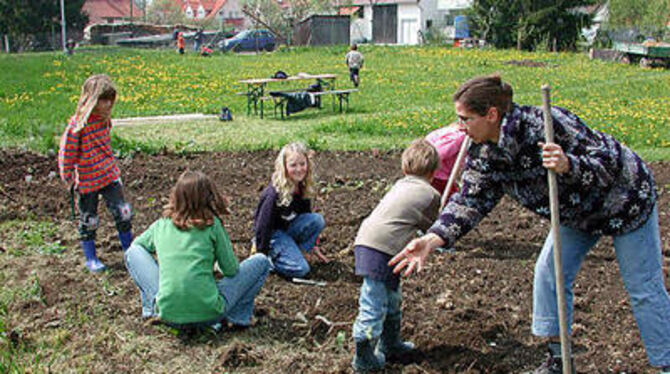 Vor dem Einsäen Unkraut zupfen: Bei Sybille Werner lernen Sonnenbühler Kinder die Grundbegriffe der Gartenarbeit. GEA-FOTO: PS