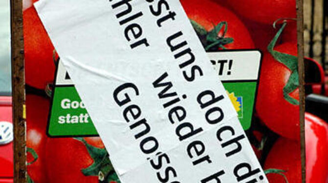 Blöd-Spruch an Tomate. GEA-FOTO: PACHER