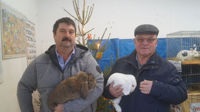 Rolf Schmuda (rechts) und Jürgen Schmuda mit ihren Widdern. FOTO: WURSTER